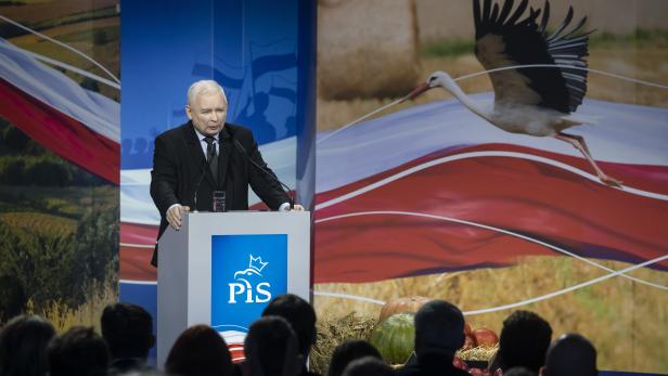 PiS-Chef Jaroslaw Kaczynski PiS-Chef Jaroslaw Kaczynski
