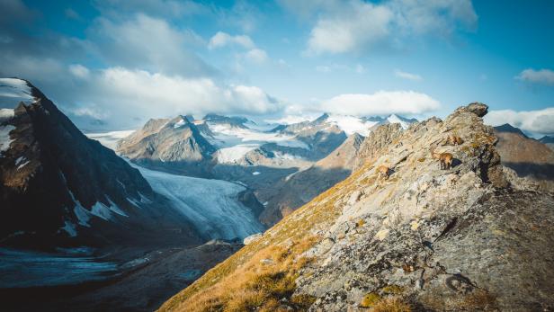 Blick auf die Alpen. "Die Anstrengungen müssen auch hier weiter verstärkt werden." Blick auf die Alpen. "Die Anstrengungen müssen auch hier weiter verstärkt werden."