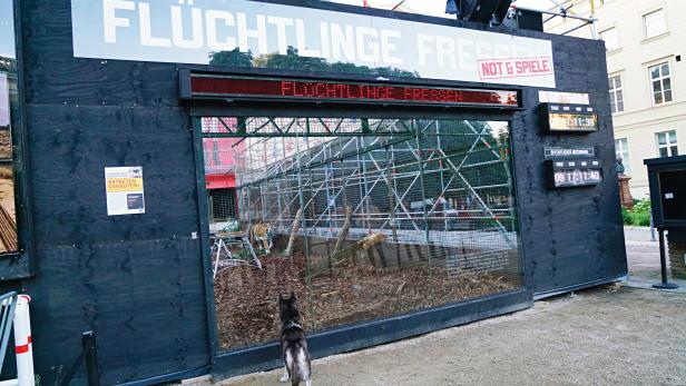 Tiger im Container. Die an Christoph Schliengensief erinnernde Aktion "Flüchtlinge fressen" Tiger im Container. Die an Christoph Schliengensief erinnernde Aktion "Flüchtlinge fressen"