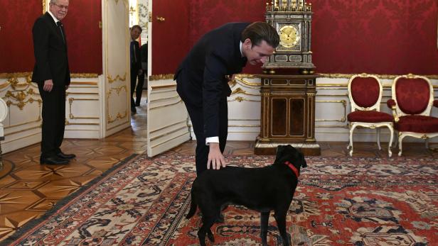 Bundeskanzler Sebastian Kurz und Bundespräsident Alexander Van der Bellen mit Hund Kita