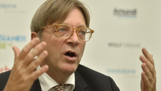 Guy Verhofstadt, Chef der Liberalen im EU-Parlament