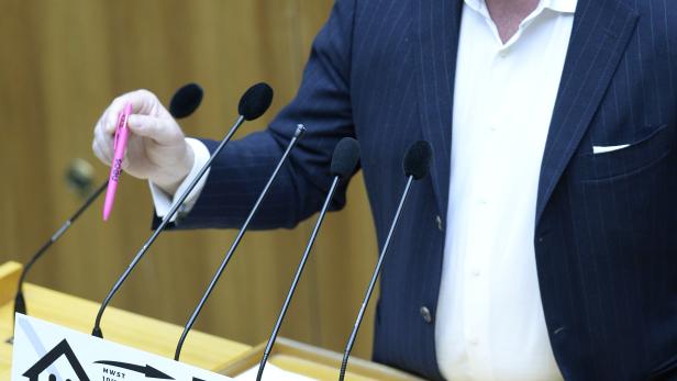 Neos-Abgeordneter Sepp Schellhorn während der Aktuellen Stunde des Nationalrates zum Thema "Rauchverbot" im April 2015.
