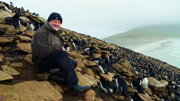 BIOLOGE KLEMENS PÜTZ: Seit drei Jahrzehnten erforscht er die Besonderheiten vieler Pinguinarten.