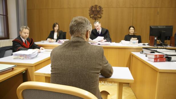 Der Angeklagte im Jänner 2017 am Straflandesgericht Graz. 