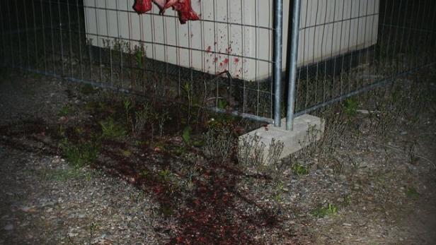DOKUMENT DES HASSES: Ein Schweinekopf auf einem Baugerüst vor einer Grazer Moschee 