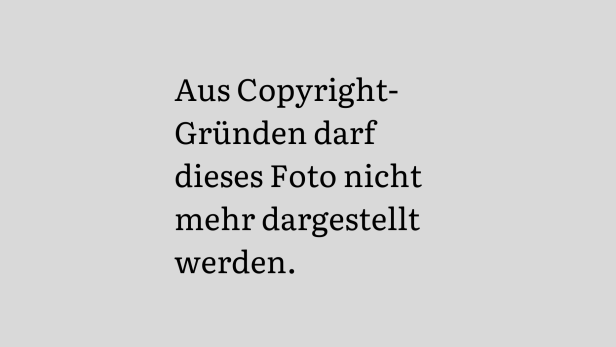 ++ HANDOUT/ARCHIVBILD ++ CORONA - SONDEREINHEIT DER WIENER POLIZEI MIT 1.500STEM COVID-EINSATZ