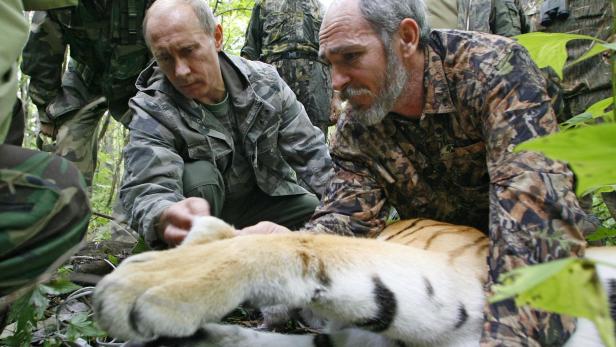 Putin mit Tiger in einem Reservat 2008