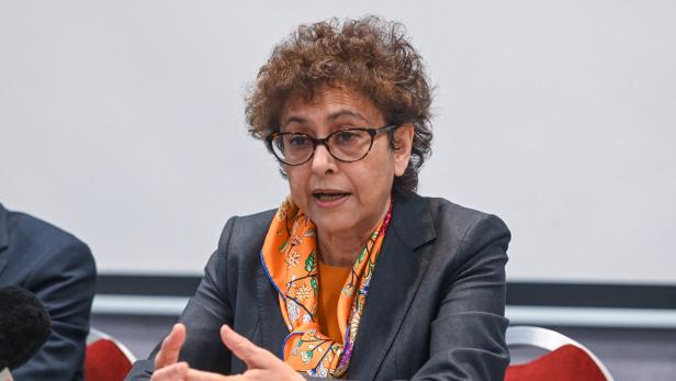 Irene Khan, Sonderberichterstatterin für Meinungsfreiheit der Vereinten Nationen