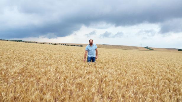Grosskruter Weizen für die pariser Börse. Landwirt Franz Weingartshofer am Feld