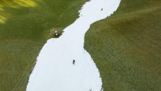 Ein Skifahrer fährt eine schmale Schneise zwischen grünen Wiesen hinunter. Eine Schneekanone steht am Rand.