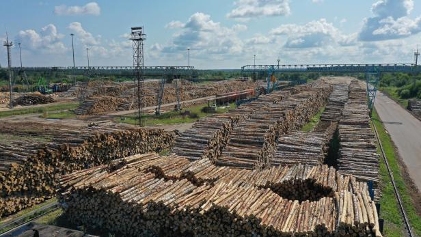 Ein russisches Werk für die Sperrholz-Produktion: Die Industrie ist stark von den EU-Sanktionen betroffen.