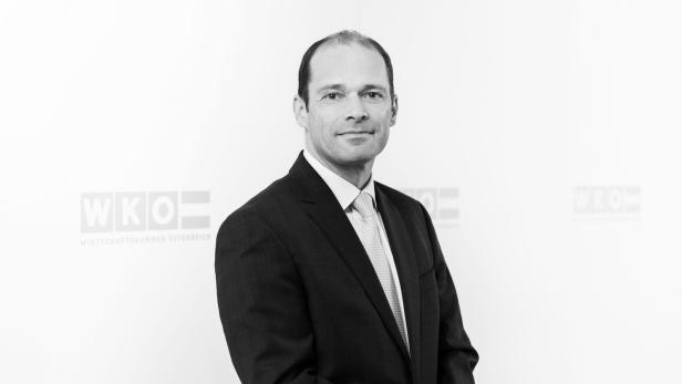 Ralf.Kronberger