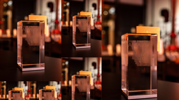 Der zeig profil award: ein Preis für Mut, Innovation und Haltung mehrere awards nebeneinander
