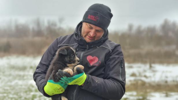 Ein Herz für Hunde: Tierschutz in Bosnien, Engagement und monatliche Patenschaften für Straßenhunde. Ein Herz für Hunde: Tierschutz in Bosnien, Engagement und monatliche Patenschaften für Straßenhunde. // Ein Mann hält einen Hundewelpen im Arm.