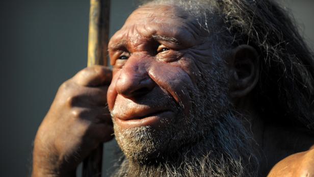 Neandertaler