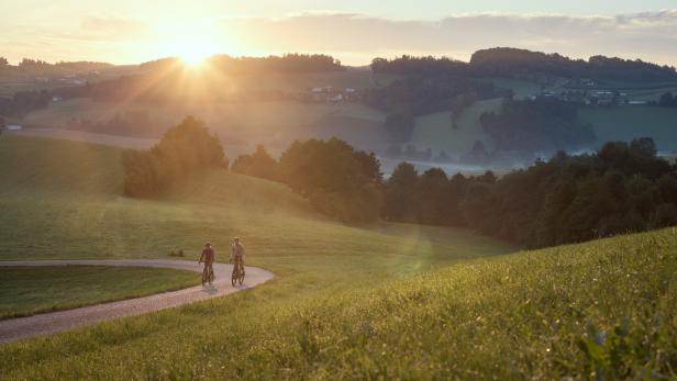 Zwei Radfahrer auf einem geschwungenen Weg durch eine grüne Hügellandschaft bei Sonnenaufgang oder Sonnenuntergang im Mühlviertel