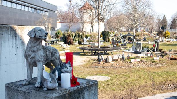Man sieht den Tierfriedhof in Simmering. Im Hintergrund sind Tiergräber zu sehen und im Vordergrund ist eine Hundestatue zu sehen.