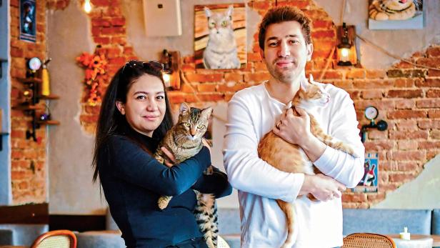 Zwei Personen stehen in einem Café mit Backsteinwand und halten jeweils eine Katze im Arm.