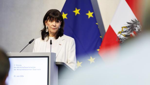 Frau mit dunklen Haaren und weißem Sakko steht hinter einem Rednerpult und vor der EU- und Österreichflagge