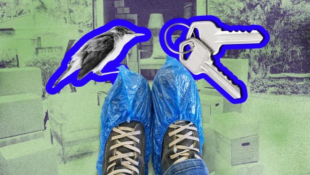 Tatortschuhe Schlüsselbund Toter Vogel Umzugswagen Collage