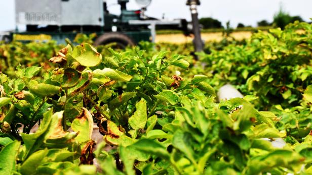 ein Feld wird von einem Traktor befahren