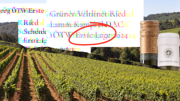 Erste Lage Kollage