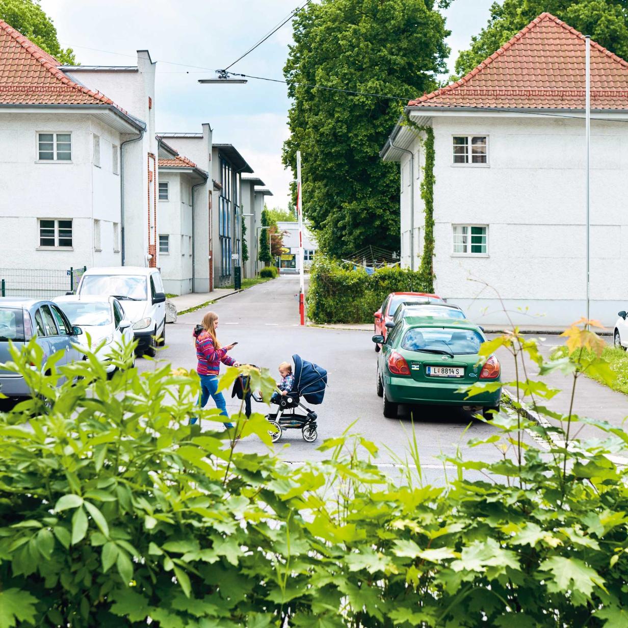 Arbeiterhochburg Linz Von Der Spo Stadt Zum Blau Grunen Biotop Profil At