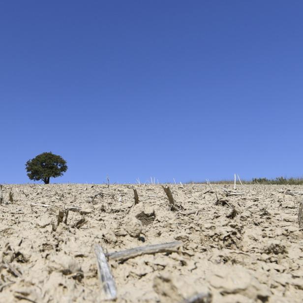 Bodenerosion führt zum Verlust von fruchtbarer Erde, verringert die landwirtschaftliche Produktivität und gefährdet damit die Ernährung der Weltbevölkerung