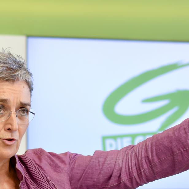 Ulrike Lunacek, Grüne-Spitzenkandidatin für die Nationalratswahl