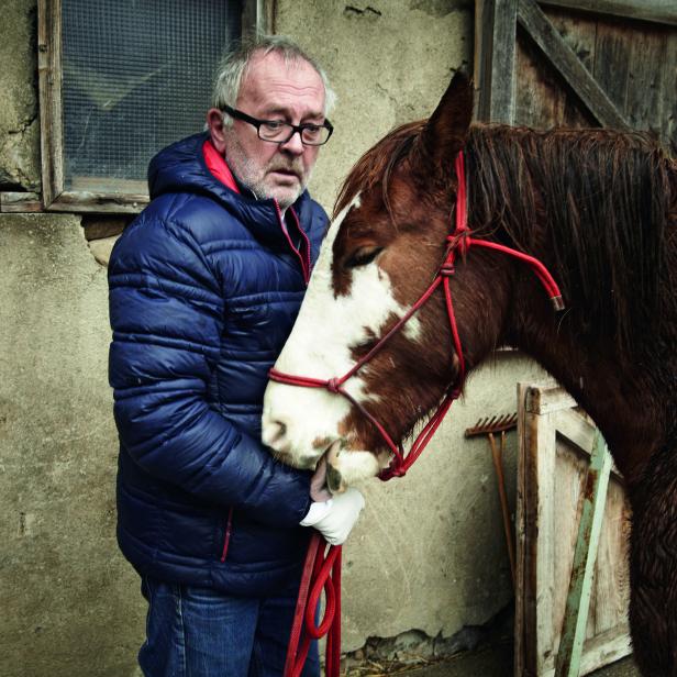 MUSTANG-BESITZER MANGELBERGER, HENGST SOX: Dem Bubentraum näher