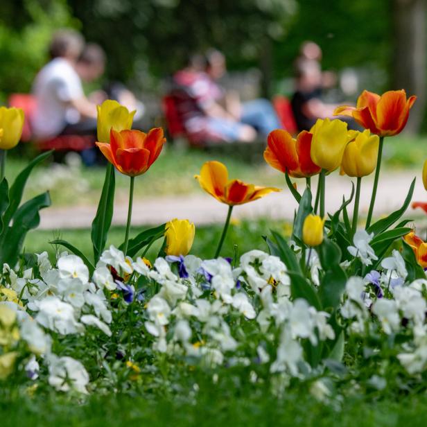 Blumen für gutes Benehmen? Die neuen Coronaregeln lassen nach wie vor viele Fragen offen