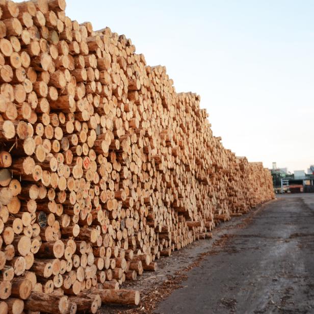 Sägewerk von HS Timber im rumänischen Radauti