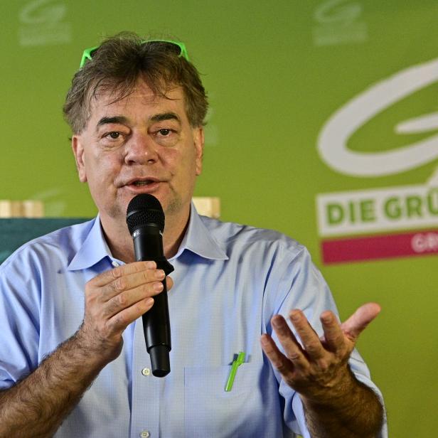 Werner Kogler (Grüne)