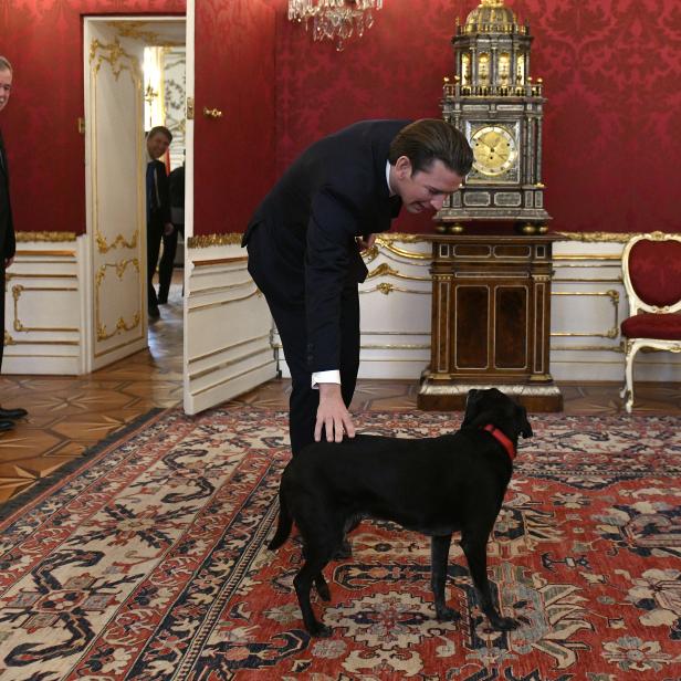 Bundeskanzler Sebastian Kurz und Bundespräsident Alexander Van der Bellen mit Hund Kita