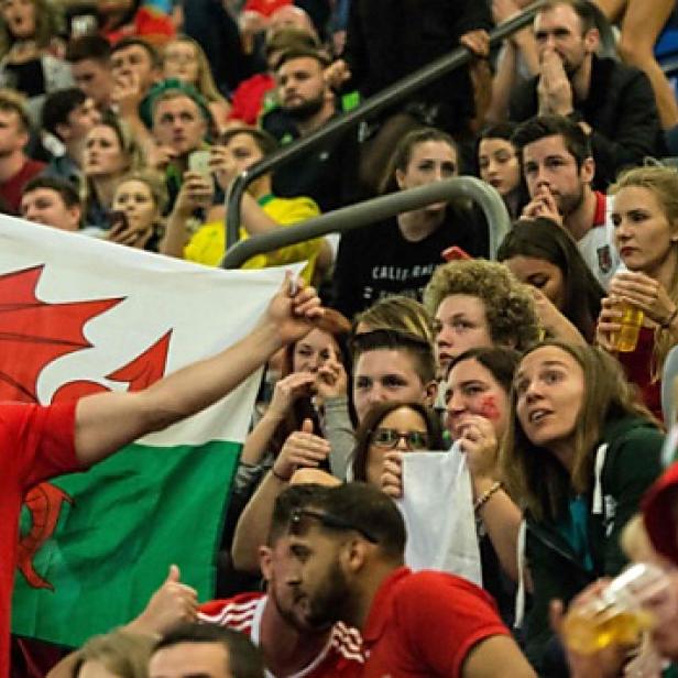 Tausende Fans empfingen ihre Helden in Cardiff