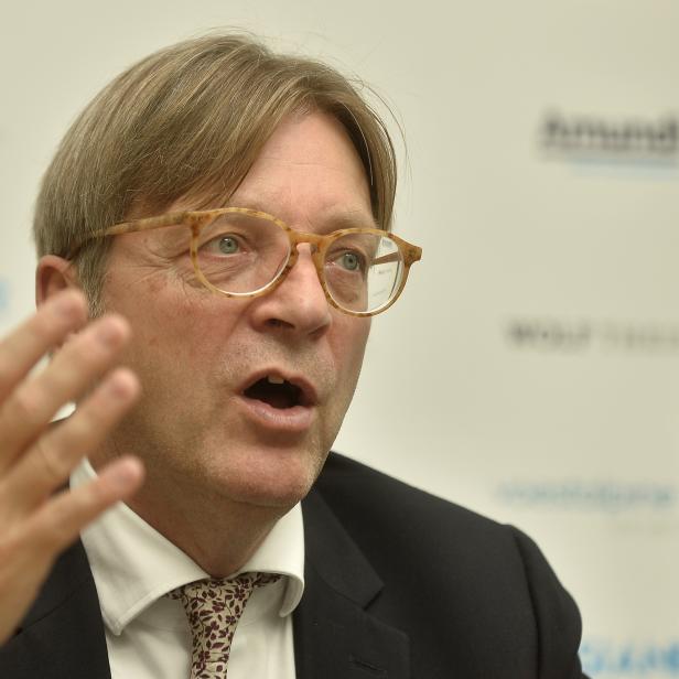 Guy Verhofstadt, Chef der Liberalen im EU-Parlament