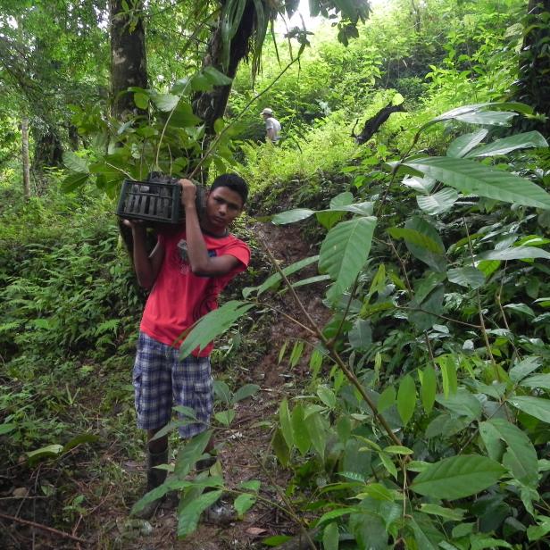 Impressionen aus dem Regenwald Costa Ricas