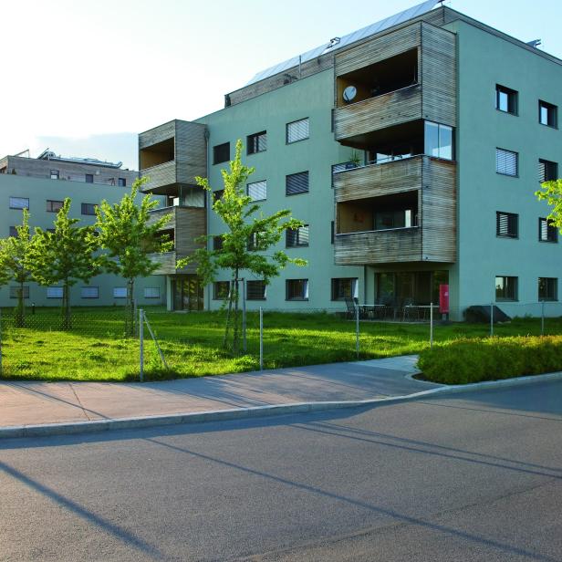 WOHNANLAGE IN FLORIDSDORF: Beim einstigen Vorzeigeprojekt gibt
es Ärger.
