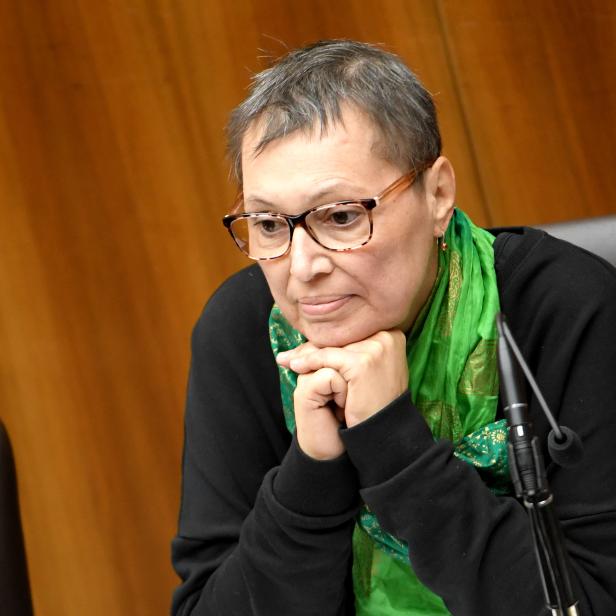 BM Sabine Oberhauser (SPÖ) während einer Sitzung des Nationalrates im Dezember 2016, im Parlament in Wien.