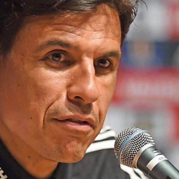 Chris Coleman trainiert die Mannschaft seit Jänner 2012