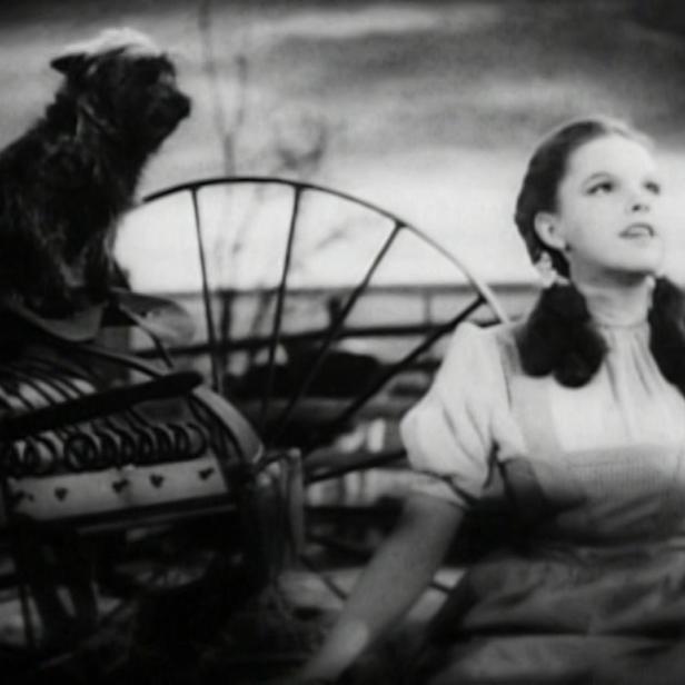 Judy Garland in der "The Wizard of Oz" (1939)