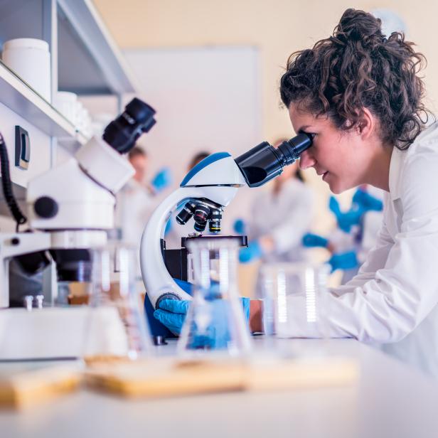 Scientists in laboratory working on research