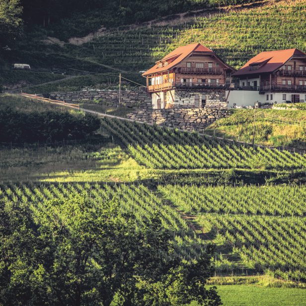 Weingut Karnburg in Kärnten