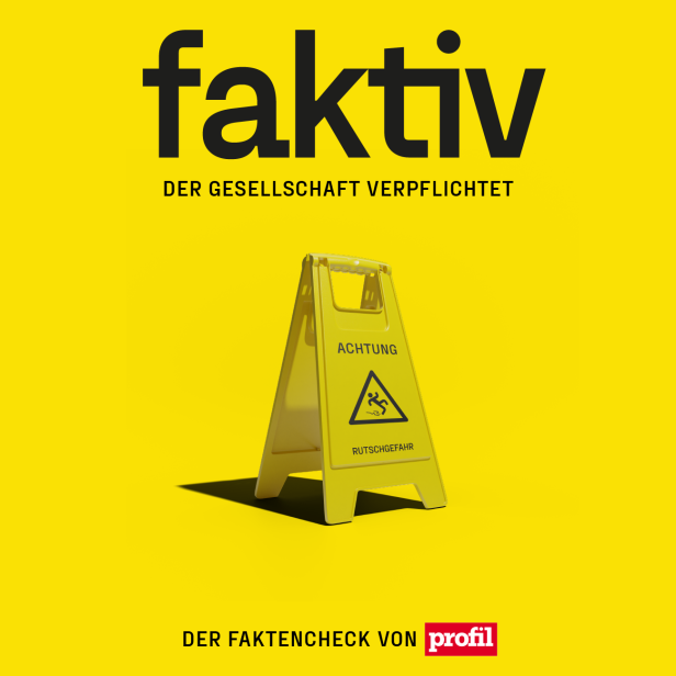 Faktiv-Logo