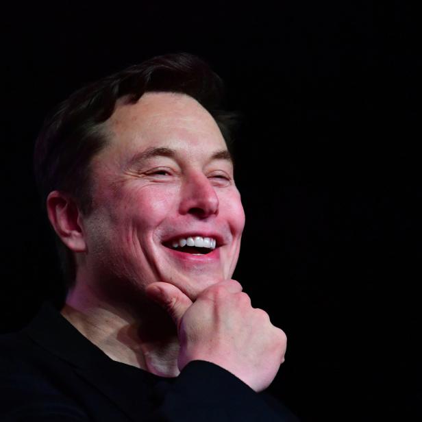 Tesla-Chef Elon Musk im Fokus der Linksfraktion