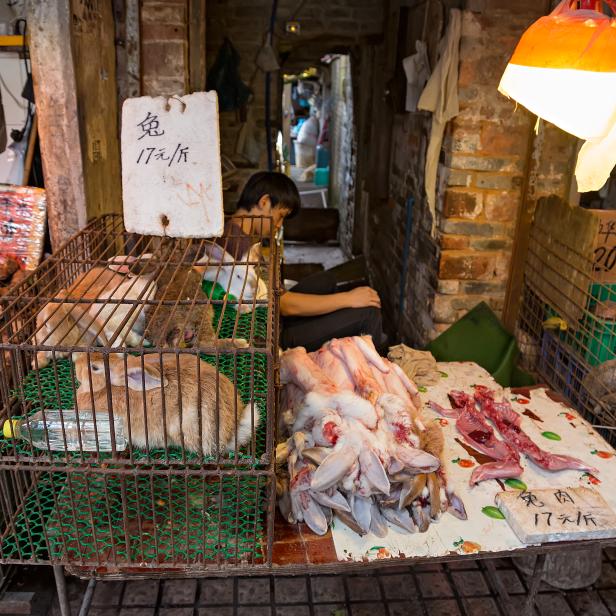 Hasen, lebendig und getötet, auf einem chinesischen Markt