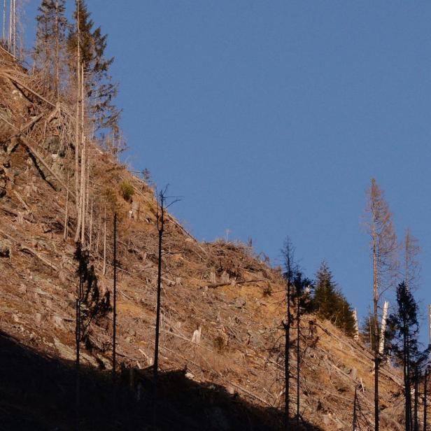 Illegal abgeholzte Berge im Herzen der rumänischen Karpaten. Fagaras 2014.