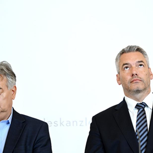 Werner Kogler und Karl Nehammer