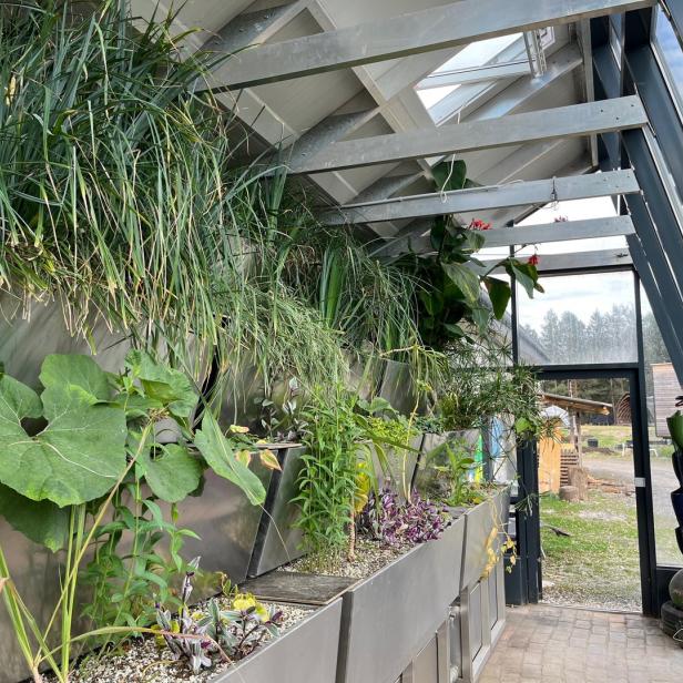 Die neue, vertikale Pflanzenkläranlage steht im aus Altglas gebauten Gewächshaus und reinigt das Abwasser von 70 Personen.