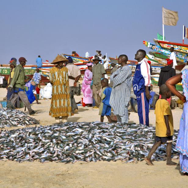 Senegal lebt wie viele andere westafrikanische Länder von der Fischerei. Überfischung und Fischfutter-Fabriken machen der Bevölkerung aber zu schaffen.